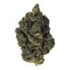 RS11 Strain