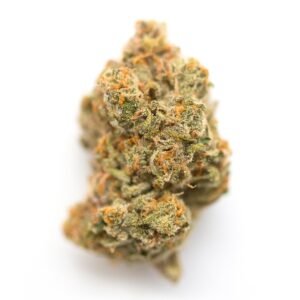 giraffe puzzy strain
