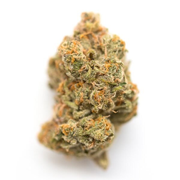 giraffe puzzy strain