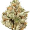 purple punch strain